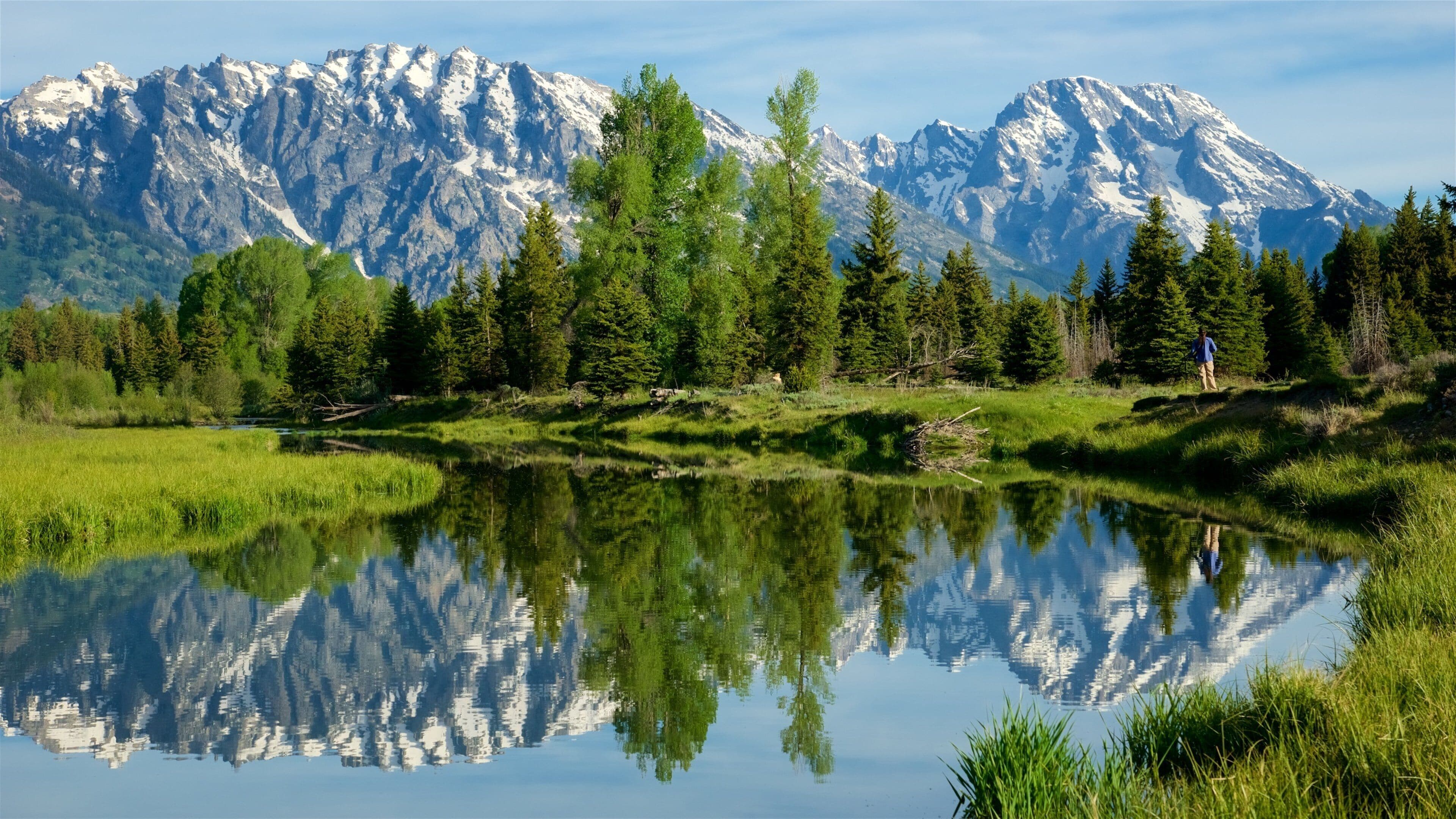 Northern Rockies landscape